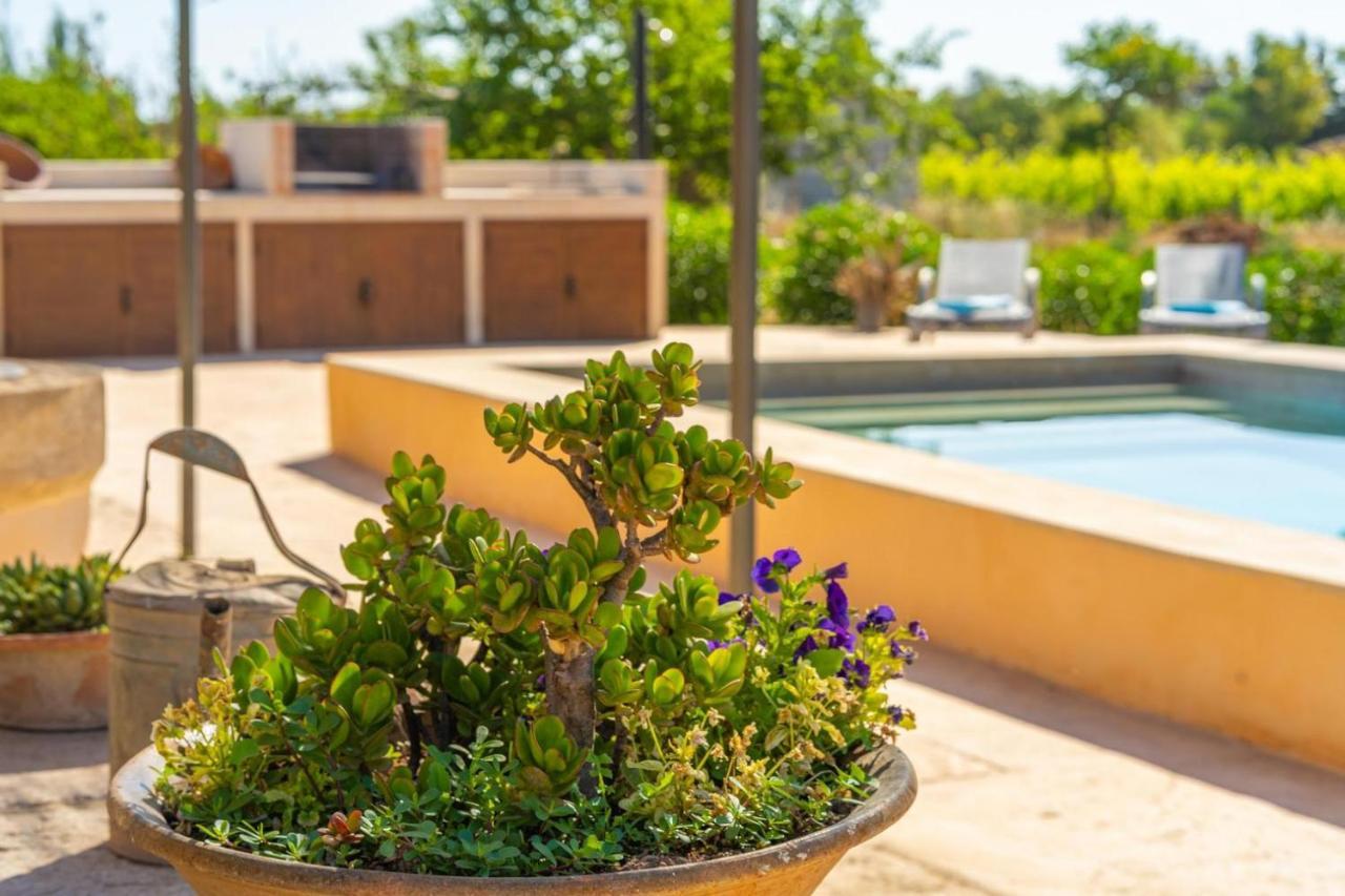 Finca Campestre Es Verger Blue Binissalem Exterior photo